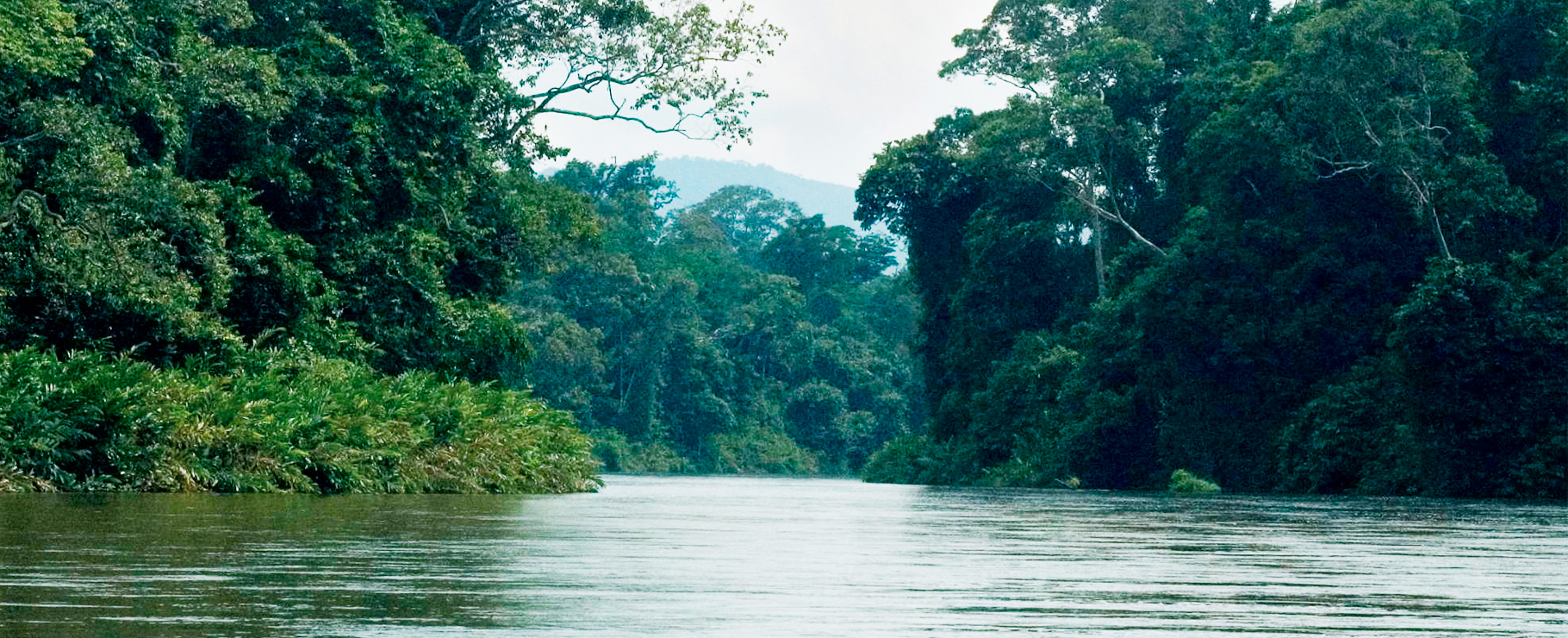 Rivière du Gabon