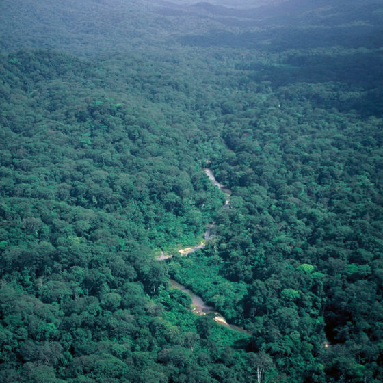 Vallée de l'Ikoy, vue aérienne - Gabon