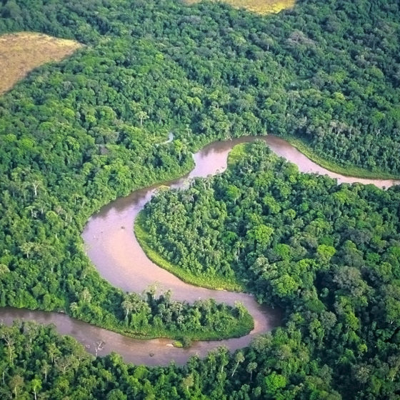 Vallée de la Mpassa - Gabon