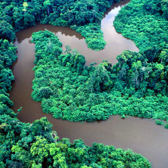 Rivière du Gabon