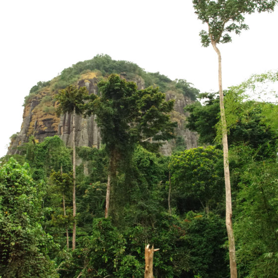 Monts Crystal au Gabon