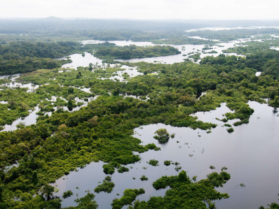 Lac Gomé - Gabon