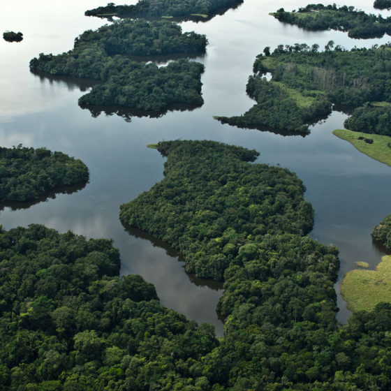 Lacs Ogooué du Gabon