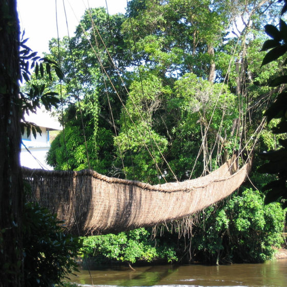 Pont liane - Gabon