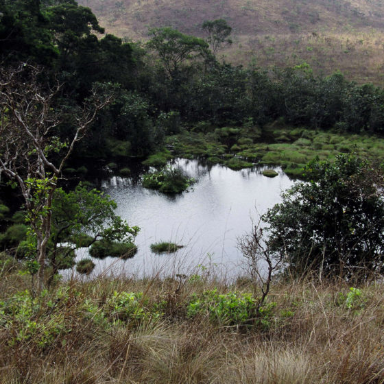 Parc national du Gabon
