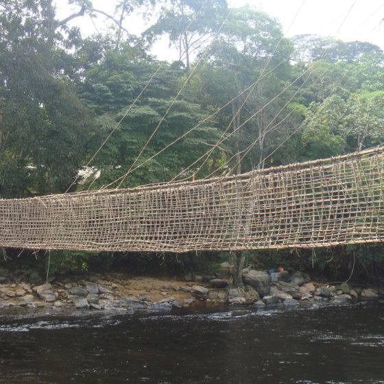 Pont Liane - Gabon
