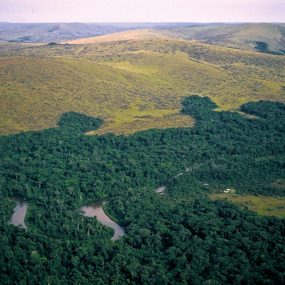 Vallée de la Mpassa, vue aérienne - Gabon