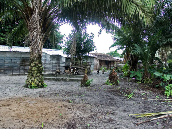 Village Teke - Gabon